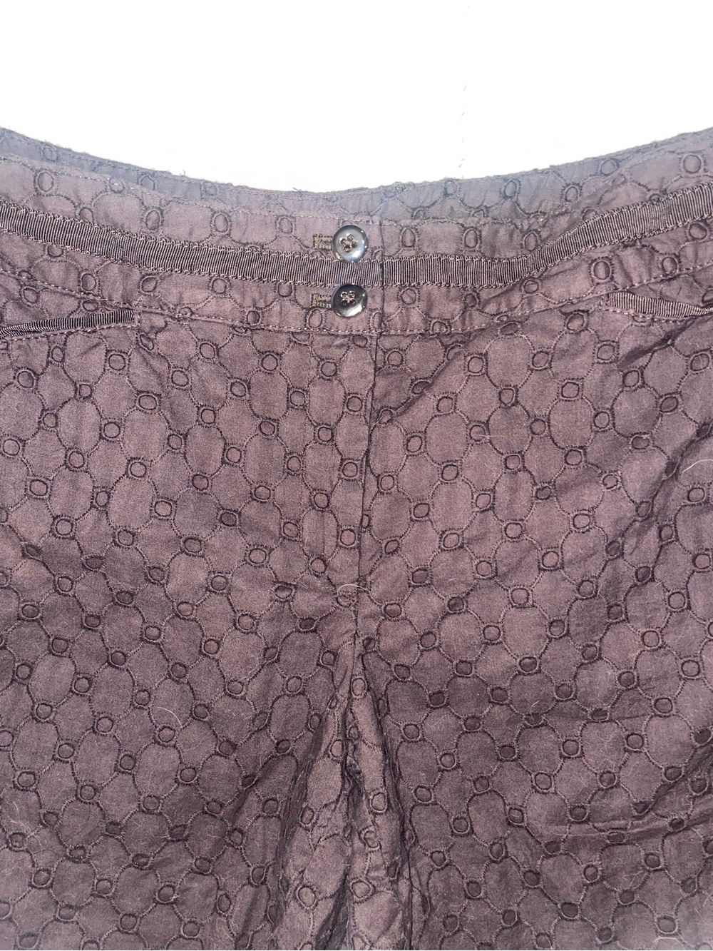 White House Black Market Women's Brown Eyelet Dress Shorts - Picture 4 of 8